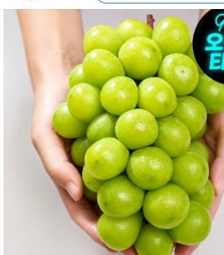 샤인머스켓 2kg