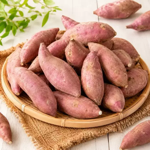 베니하루카 꿀고구마 5kg