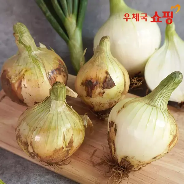 무안 황토밭 만생양파 3kg