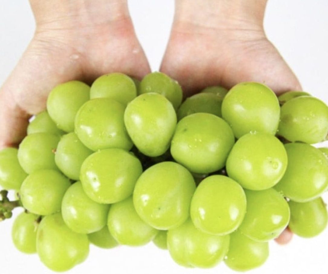 샤인머스켓 2kg