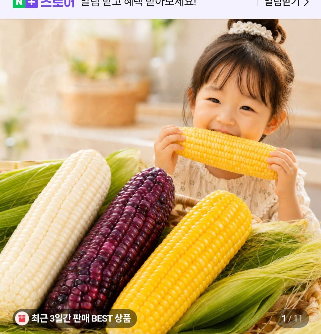 초당옥수수 흑찰옥수수
