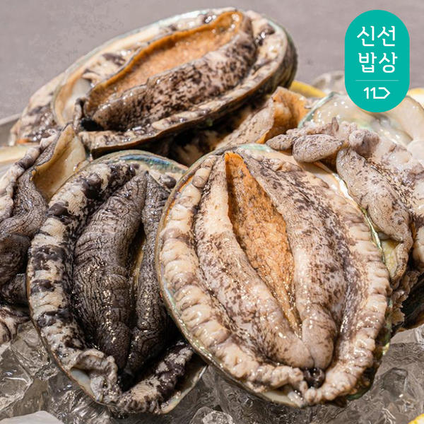 완도 활 전복 1kg 특대 6-7미