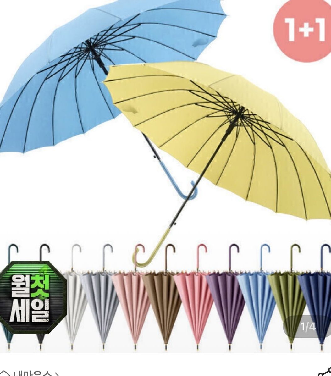 파스텔 장우산 16K