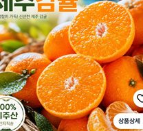 제주 하우스 감귤 2kg 혼합