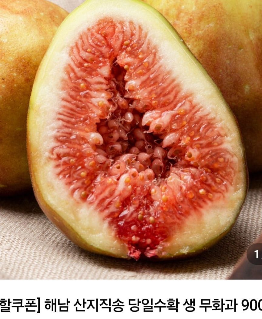 해남 무화과 450g 2팩