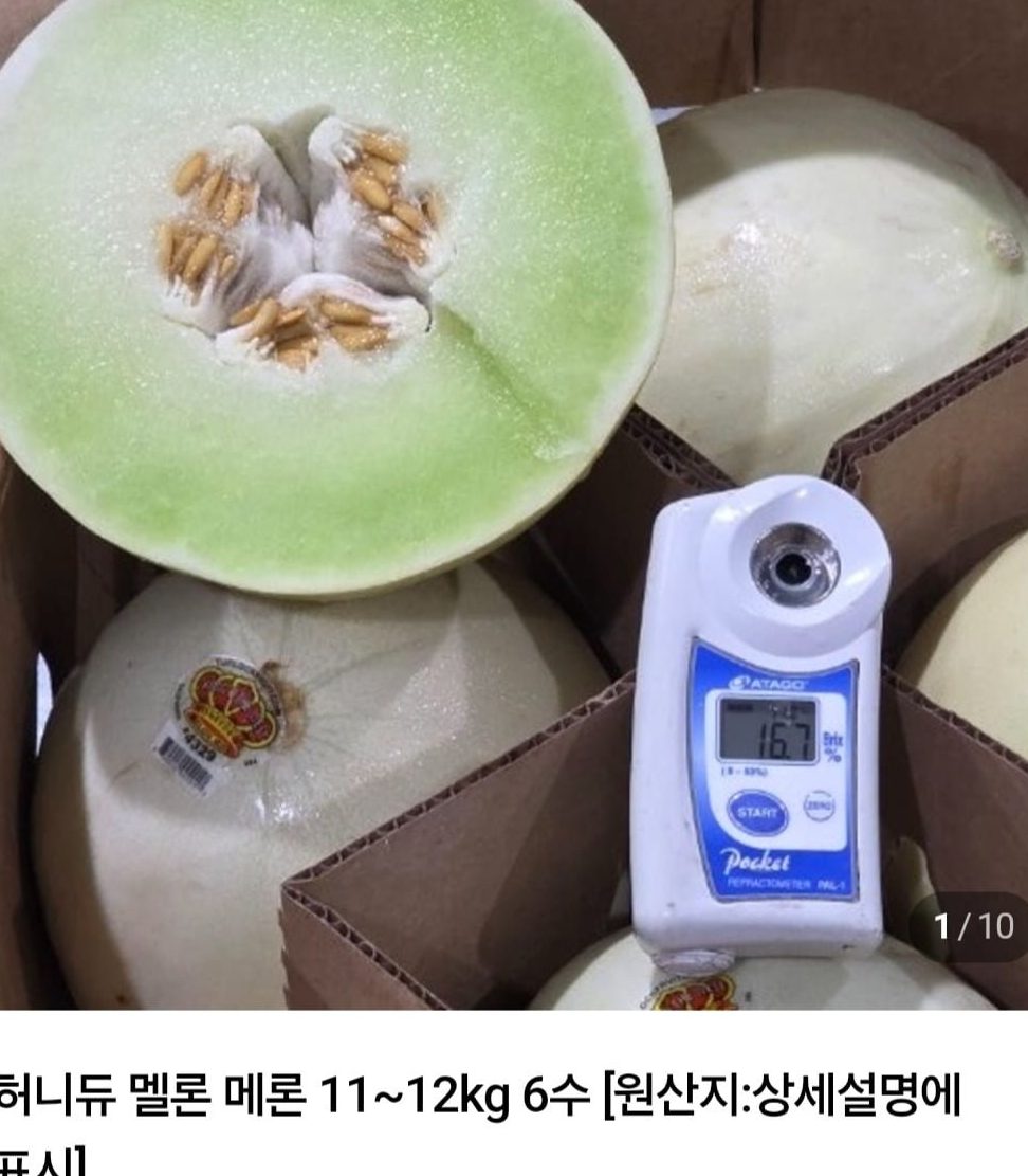 허니듀 멜론 11~12kg 6수