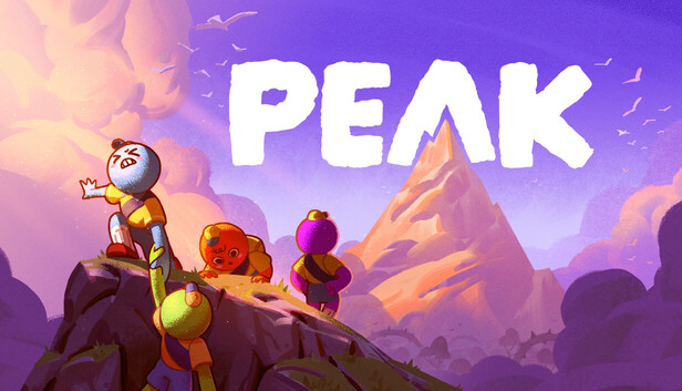 PEAK 50% 할인
