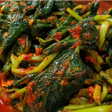 열무김치 당일담금 1kg