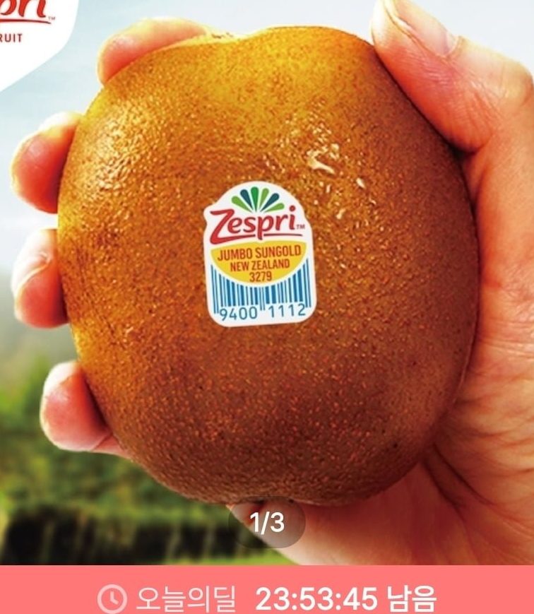 제스프리 썬 골드키위 3.3kg 24입