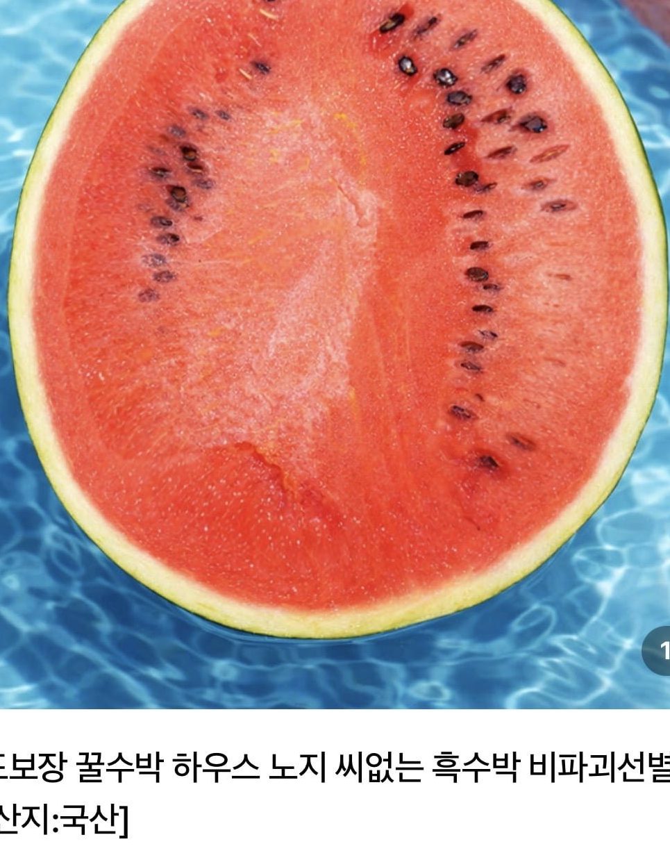가정용 수박 6-7kg