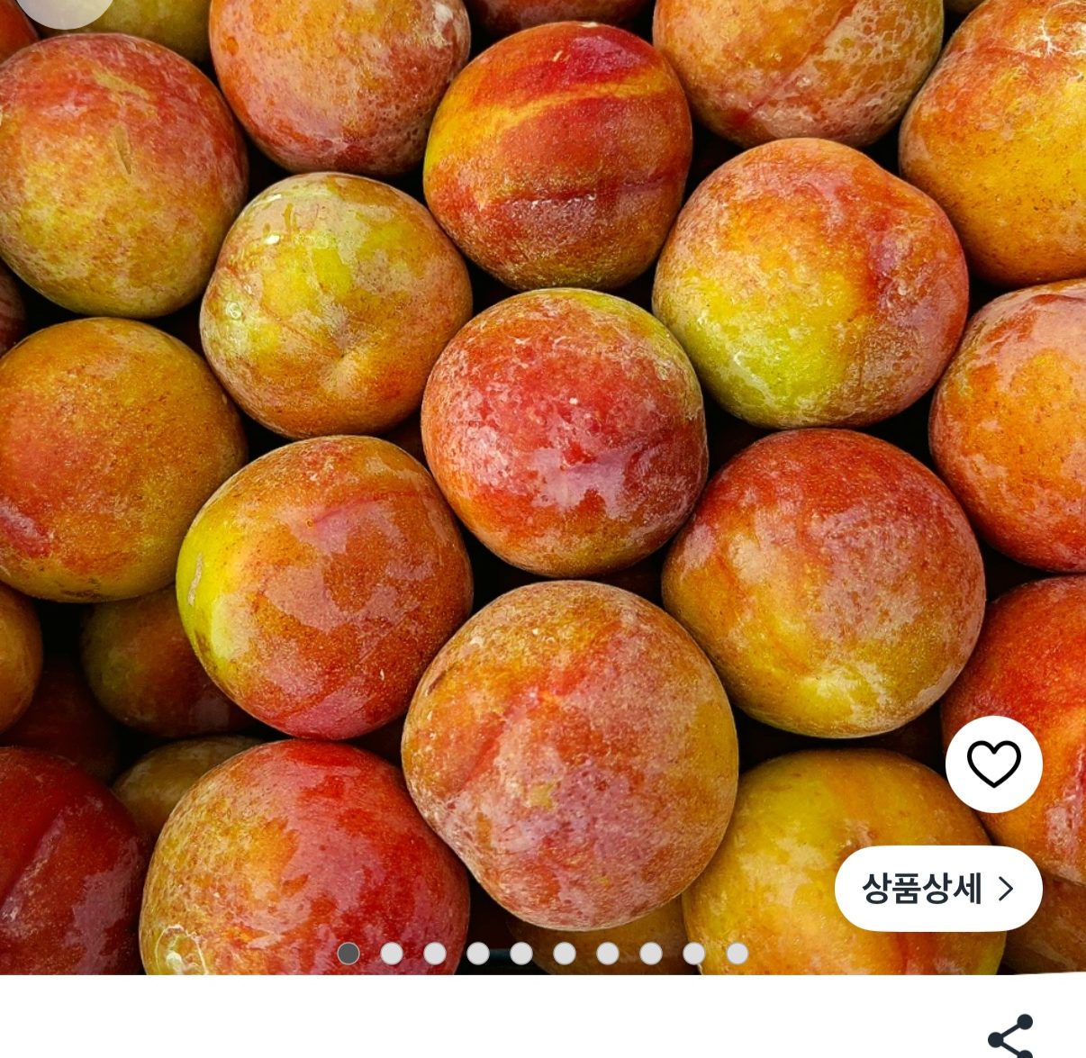 도담자두 3kg 특 무배