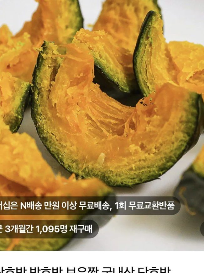 꼬마 미니 밤호박 5kg