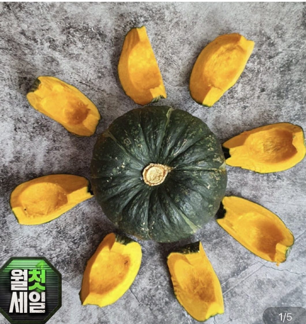 제주 미니 단호박 보우짱 3kg