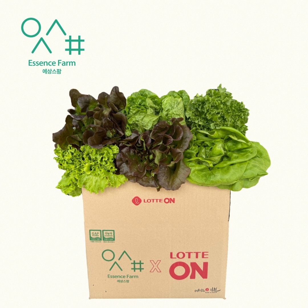 에상스팜 유러피안 샐러드야채 1kg