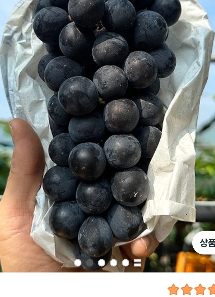 캠벨포도 1kg