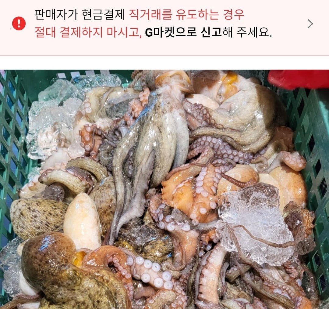 활돌문어 1kg