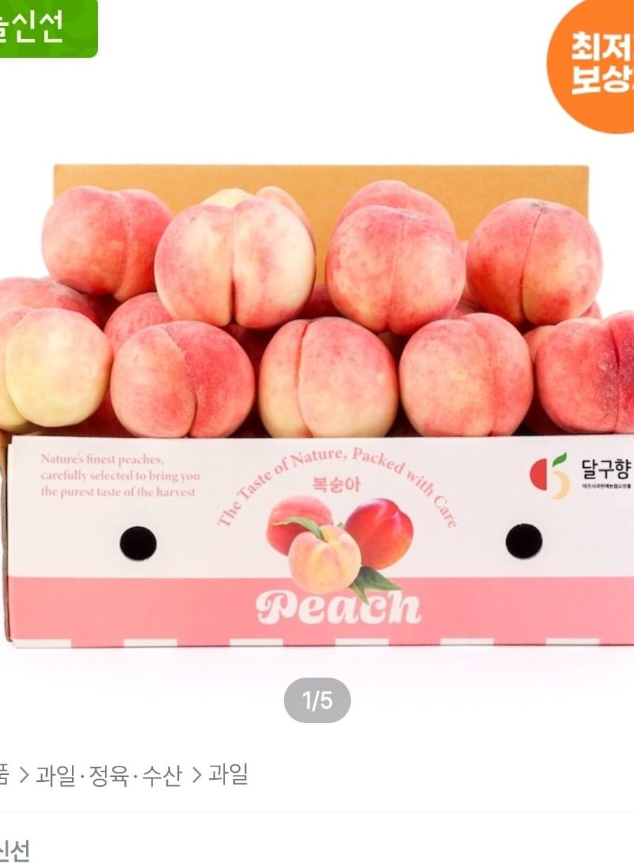아삭단단 백도 복숭아 2kg