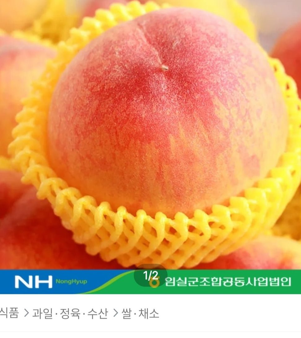 임실농협 말랑이 복숭아 황도백도 혼합 1.25kg