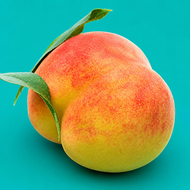 딱딱이 털복숭아 1kg
