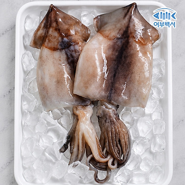 자연산 손질 오징어 780g (260g x 3팩/팩당 2미