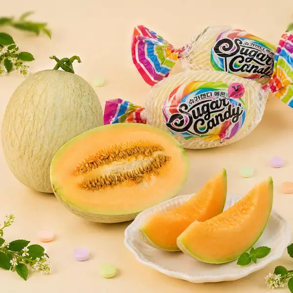 슈가캔디 메론 1kg