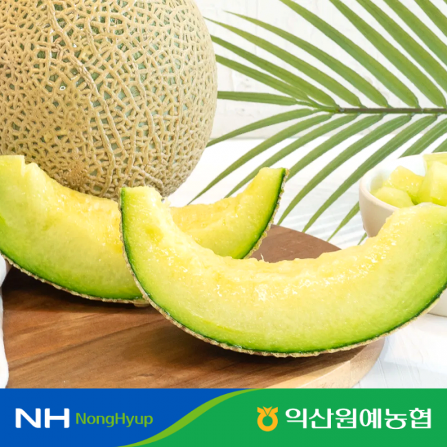 국내산 고당도 머스크메론 3.2kg