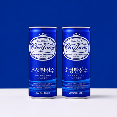 초정탄산수 250ml 60캔