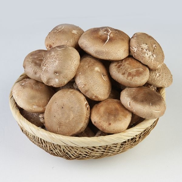 표고버섯 1kg