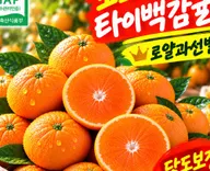제주 고당도 타이벡 감귤 5kg