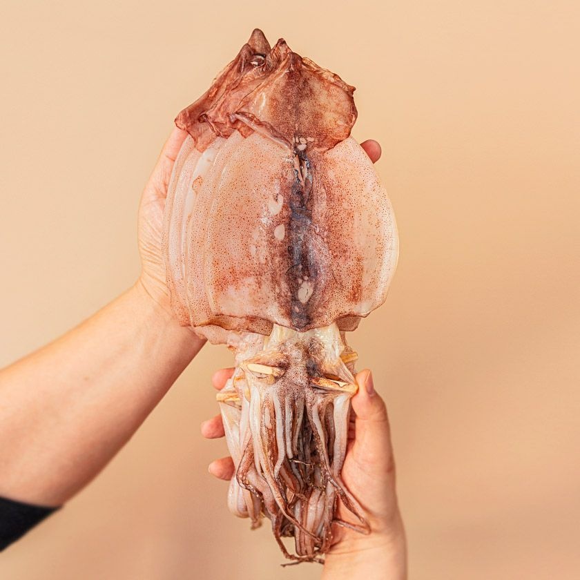 피데기 원양산 반건조 오징어 5미 550g 내외