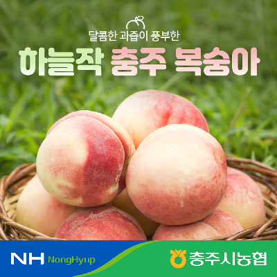 하늘작 물복숭아 2.5kg