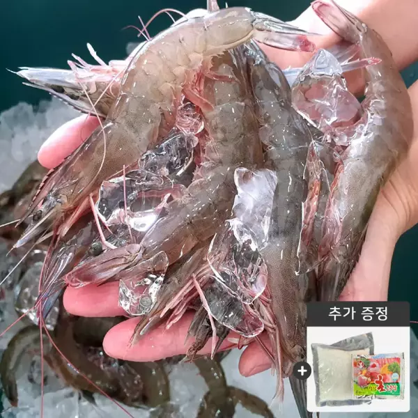 국산 흰다리새우 활새우 1kg