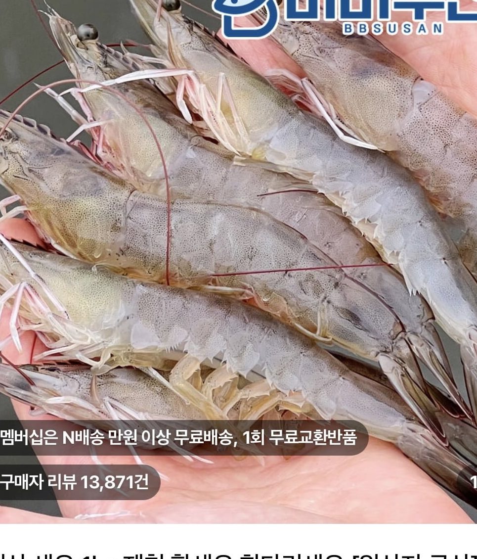신안 활새우 1kg 40미