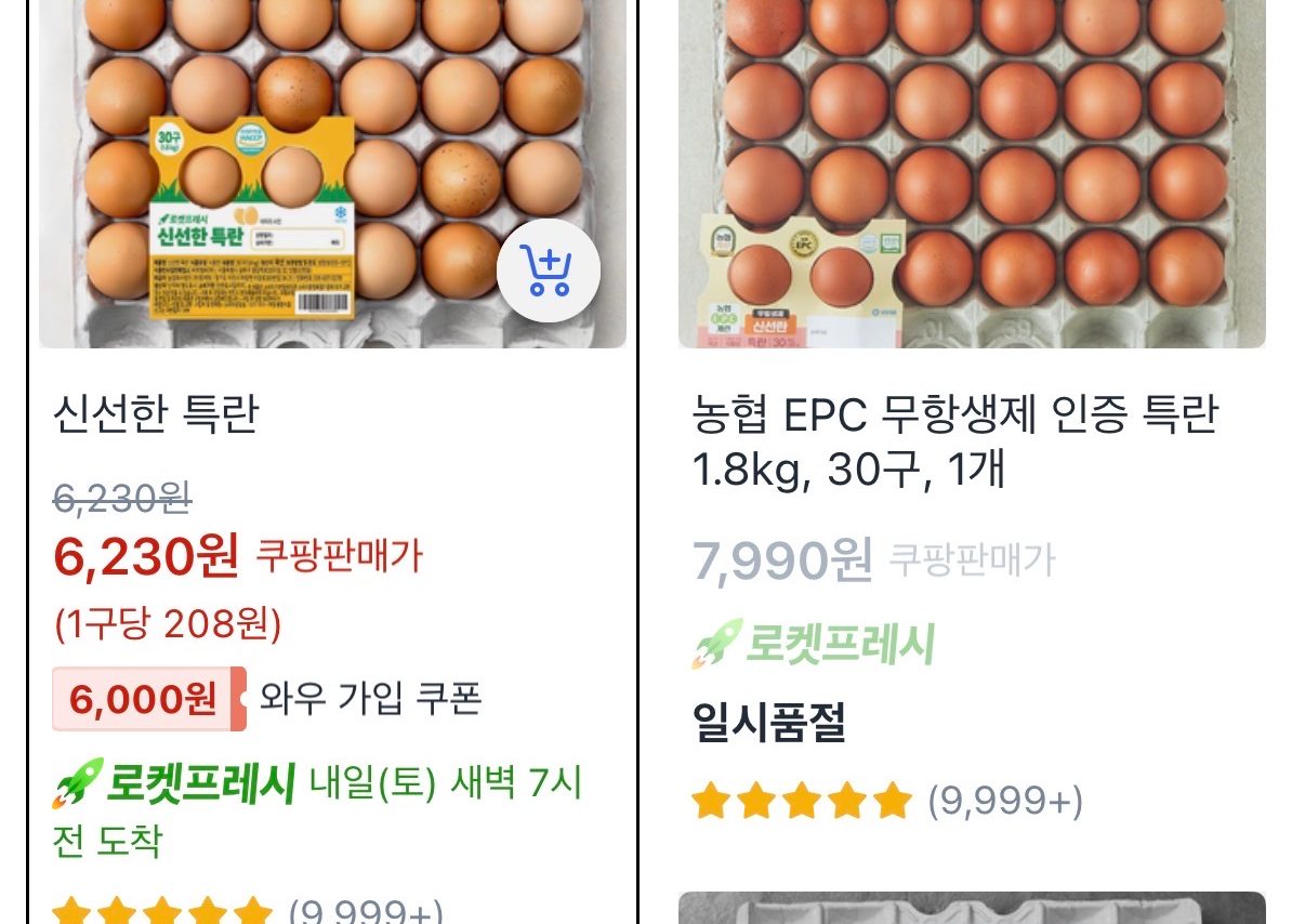 신선한 특란 30구