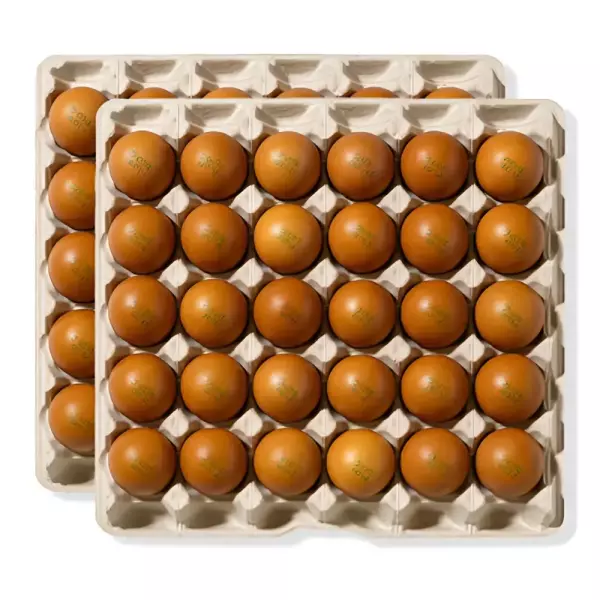 HACCP 구운계란 대란 60구