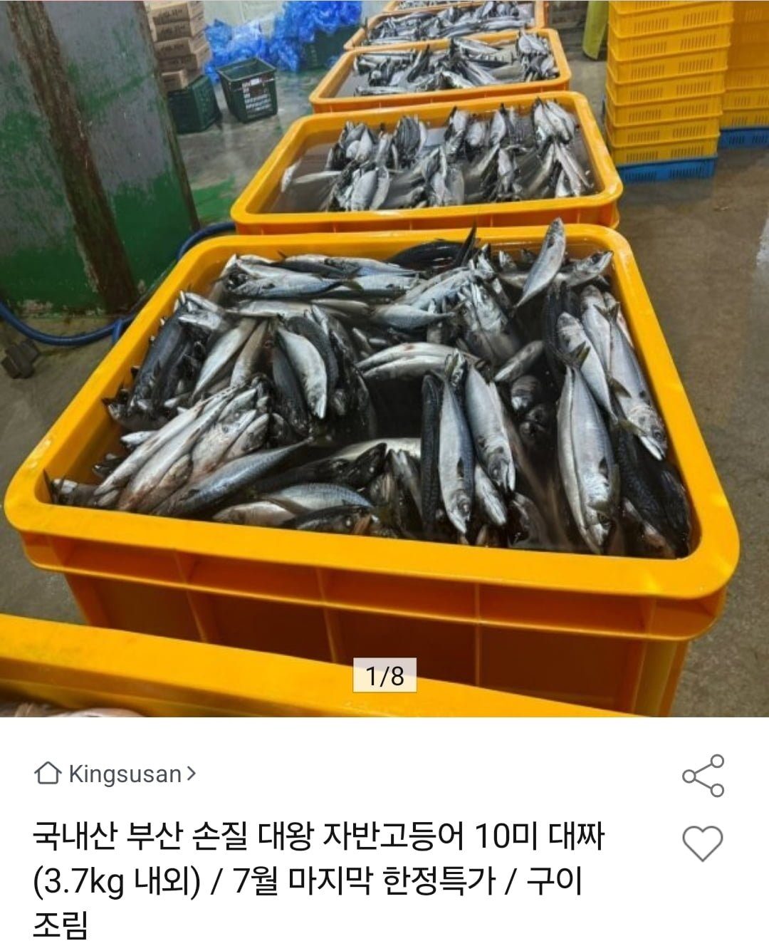 국내산 부산 자반고등어 10미