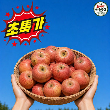 못난이 사과 5kg
