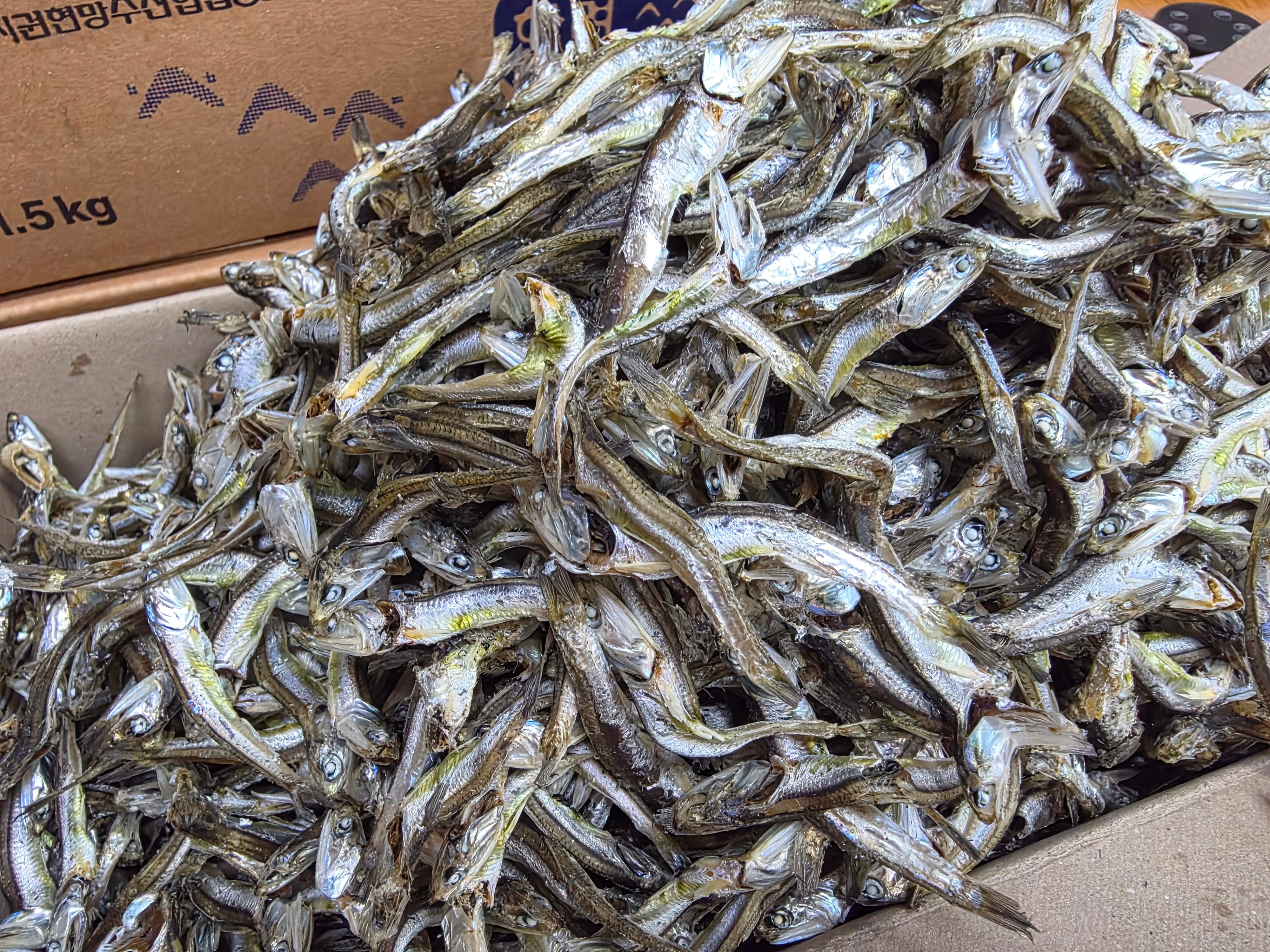 남해안 햇 멸치 고주바 멸치 1.5kg