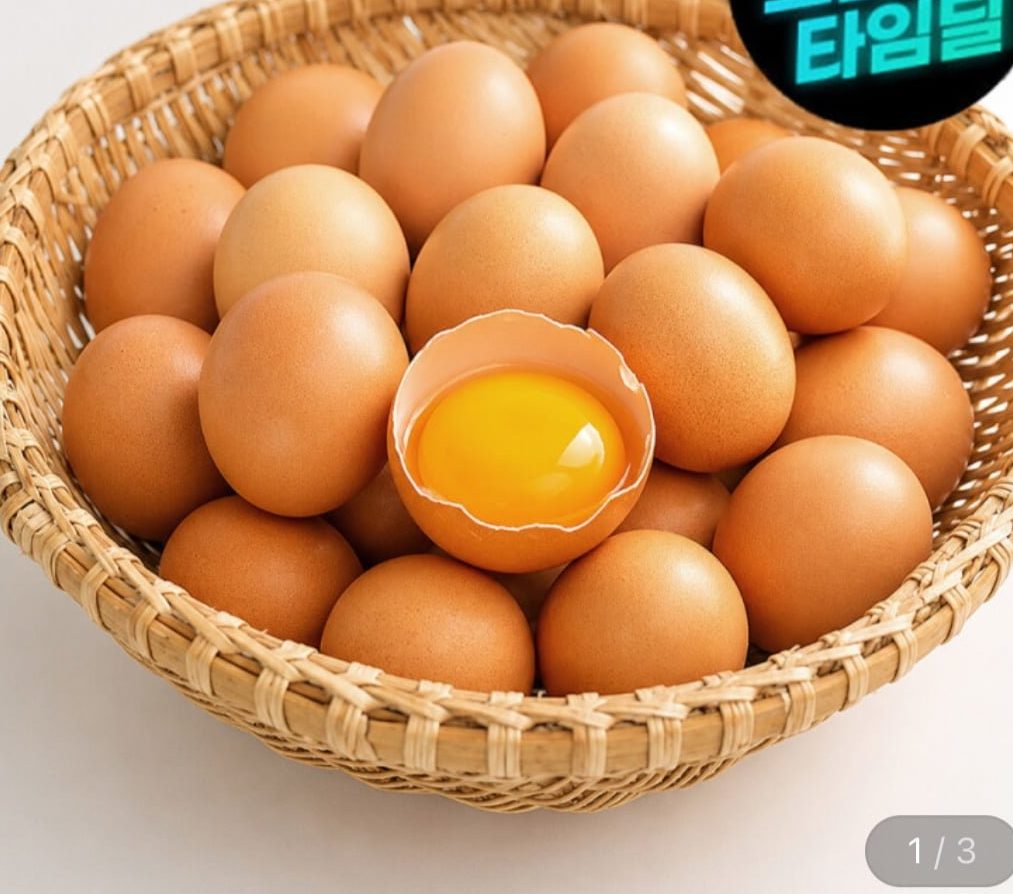 무항생제 유정란 20구