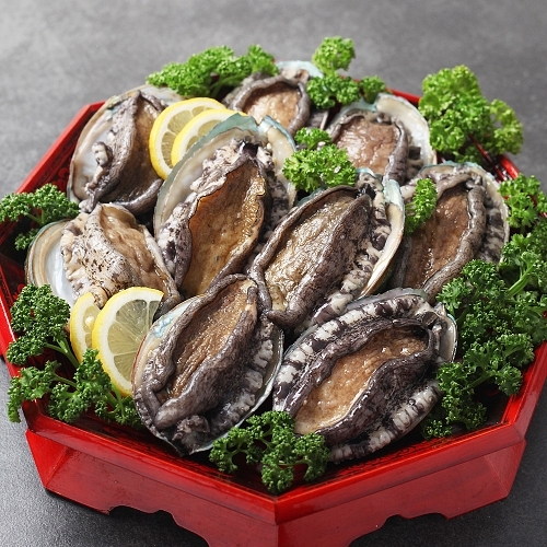 완도 활전복 1kg (9~10미