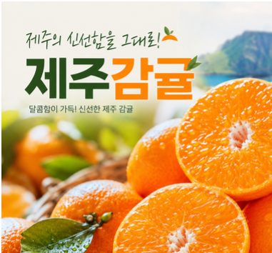 제주 감귤 2kg