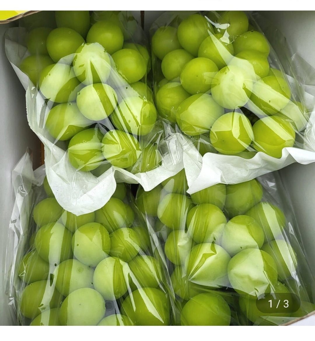 샤인머스켓 2kg 4수
