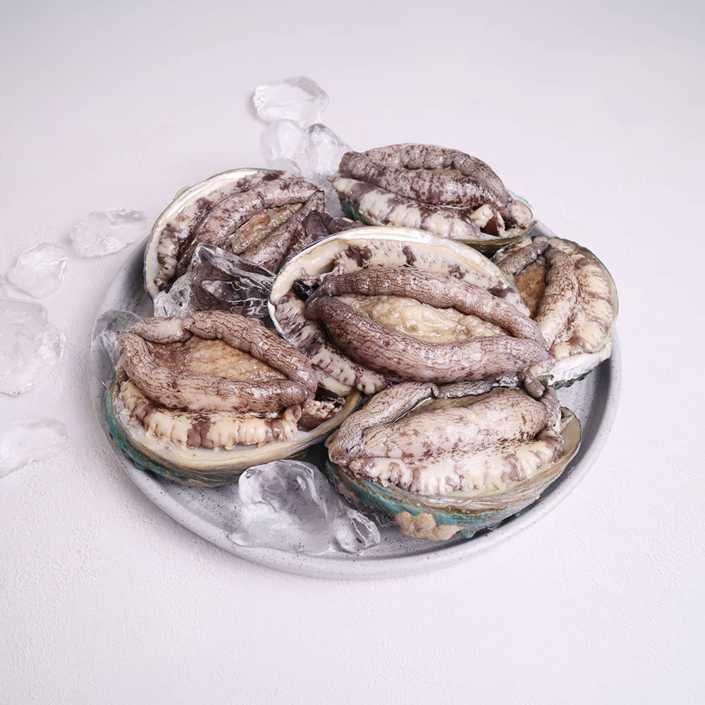 국내산 활 전복 1KG (5~7미