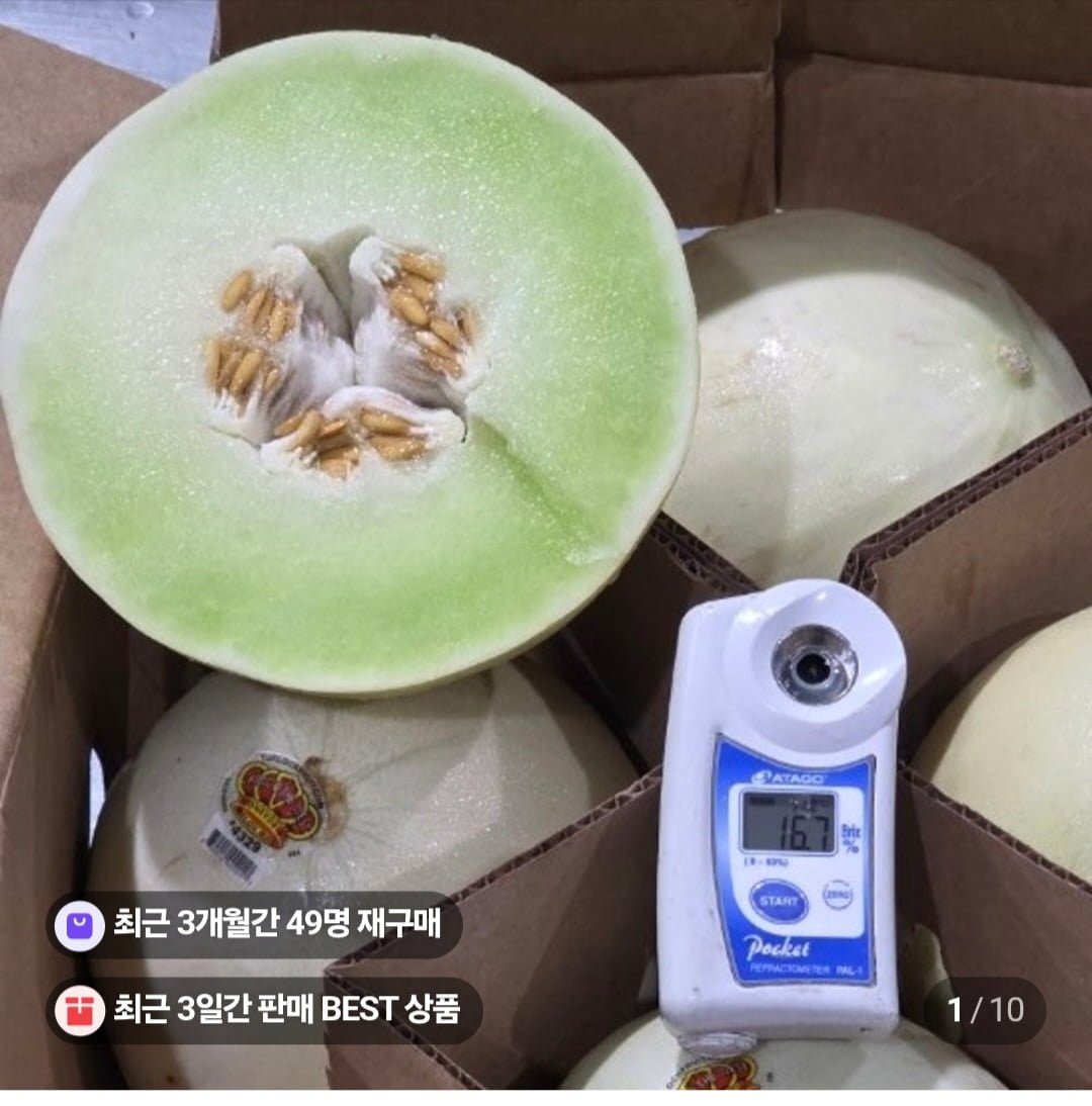 킹오더웨스트 허니듀 멜론 2.6kg