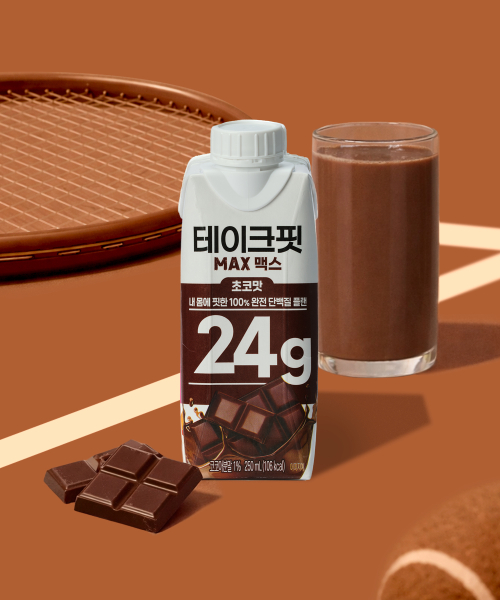 테이크핏 맥스 단백질 음료 초코 250mL 24개