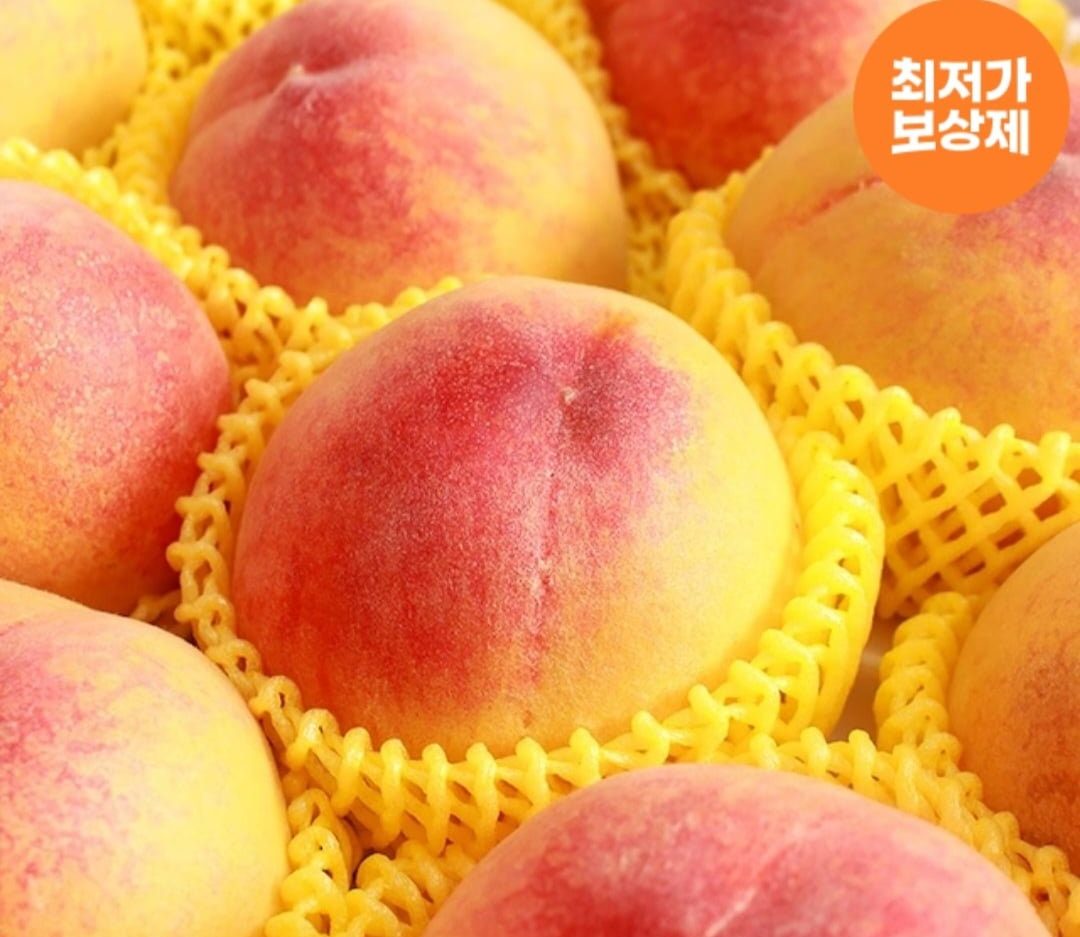 딱딱이 복숭아 4kg