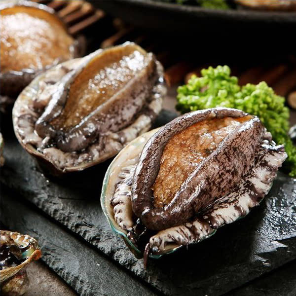 해신수산 완도전복 특대 1kg