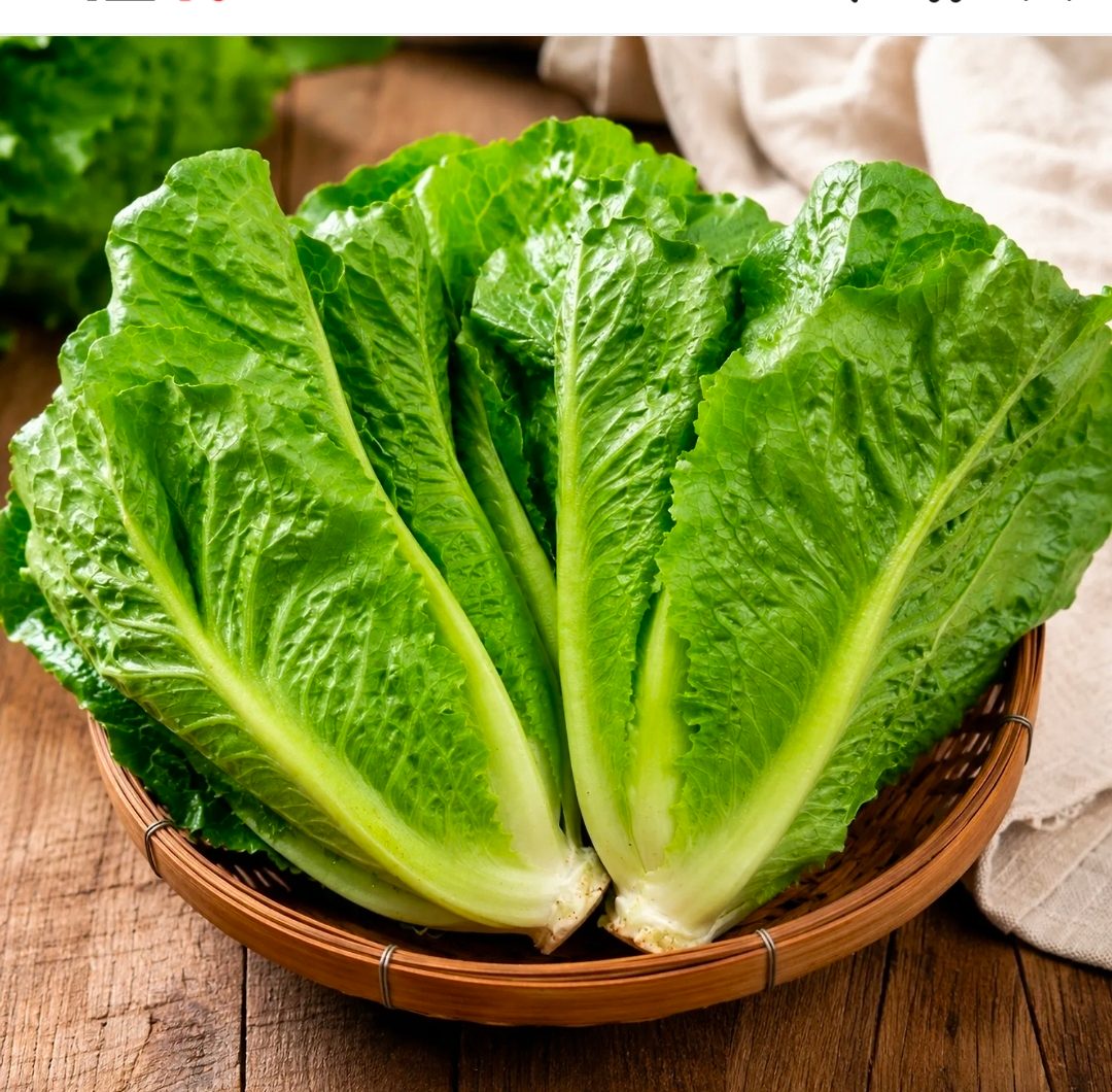 통로메인 토경재배 1kg