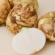 햇 양파 특품 5kg