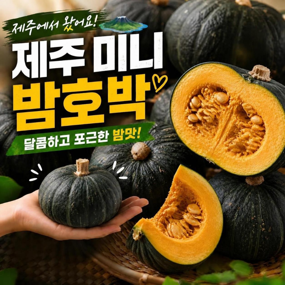 제주도 미니 밤호박 특품 3kg